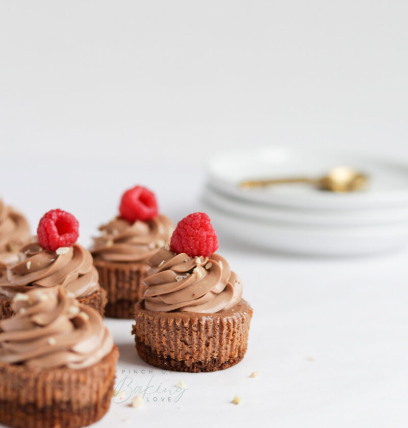 Mini Nutella Cheesecakes